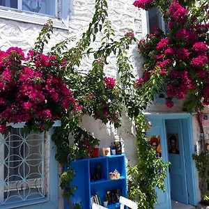  Otel Alaçatı Frida